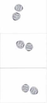 Imagen microscópica del polen de Artocarpus altilis