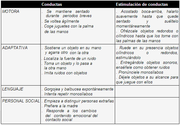 Estimulación de conductas 6 meses