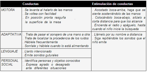 Estimulación de conductas 5 meses