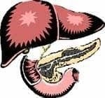 Células del Paciente lo que se ve hacia el futuro Células del Paciente lo que se ve hacia el futuro