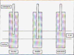 Longitud de comisura-carina durante la broncoscopia Longitud de comisura-carina durante la broncoscopia