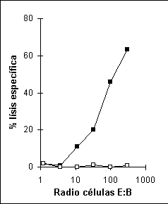 Prueba de liberación de cromio con linfocitos T CD8+ humanos