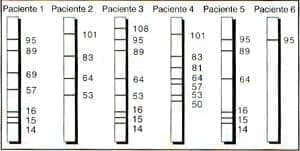 Patrones de reconocimiento de las proteínas de F  Patrones de reconocimiento de las proteínas de F