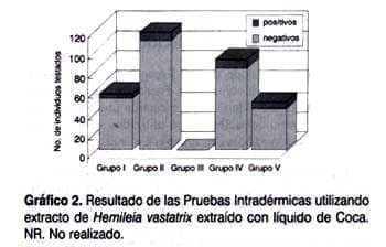 Resultado de las pruebas Intradérmicas con extracto de Hemileia vastatrix Resultado de las pruebas Intradérmicas con extracto de Hemileia vastatrix
