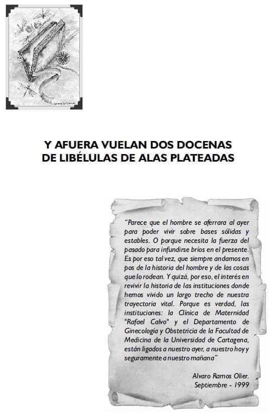 Afuera Vuelan dos Docenas de Libelulas