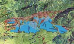 Los Humedales Los Humedales