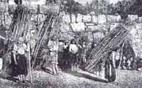 Indios recolectores de leña Indios recolectores de leña