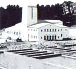 Planta de Vitelma Planta de Vitelma