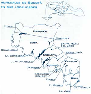 Humedales de Bogotá en sus Localidades Humedales de Bogotá en sus Localidades