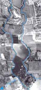 humedales-bog55