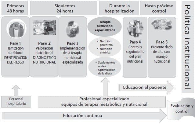 Modelo de cuidado nutricional