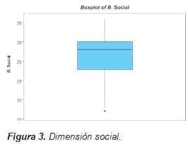 Dimensión social Insuficiencia Renal  Dimensión social Insuficiencia Renal