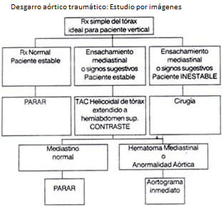 Desgarro aórtico traumático Desgarro aórtico traumático
