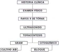 Examen paraclinicos y manejo Examen paraclinicos y manejo