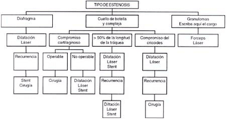 Las estenosis en diafragma Las estenosis en diafragma