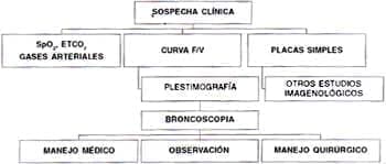 Tratamiento que requerirá un paciente Estenosis Traqueales Tratamiento que requerirá un paciente Estenosis Traqueales