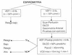 Pruebas de función pulmonar Pruebas de función pulmonar
