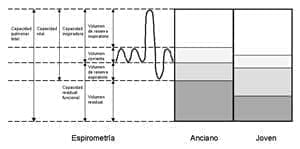 Cambios en los volúmenes pulmonares con el envejecimiento. Cambios en los volúmenes pulmonares con el envejecimiento.