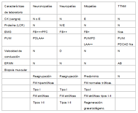 Características diferenciales de las hipotonías
