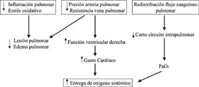 Efectos pulmonares del óxido nítrico Efectos pulmonares del óxido nítrico