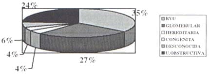 IRC Etiología IRC Etiología