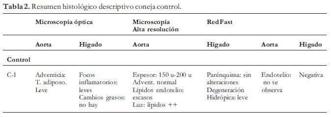 Resumen coneja control Resumen coneja control