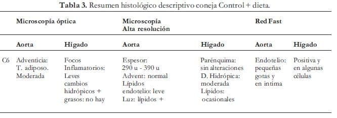 Coneja Control + Dieta Coneja Control + Dieta