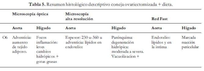 Descripción coneja ovariectomizada + dieta Descripción coneja ovariectomizada + dieta