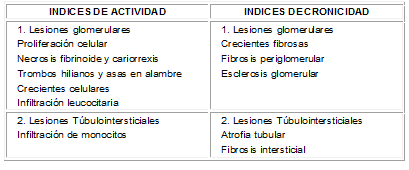 Indicadores de actividad/cronicidad en nefritis lúpica  Indicadores de actividad/cronicidad en nefritis lúpica