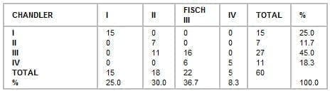 Clasificación por estados según Chandler y Fisch Clasificación por estados según Chandler y Fisch