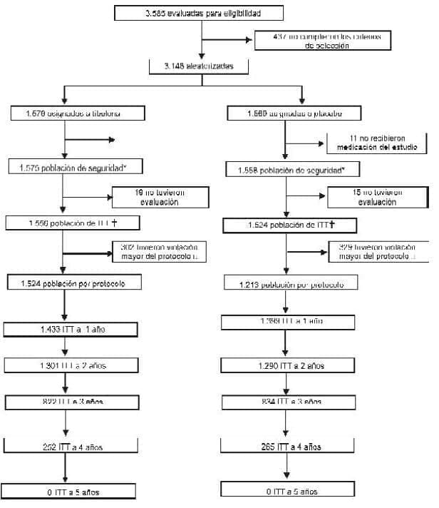 Perfil de estudio de Tibolona