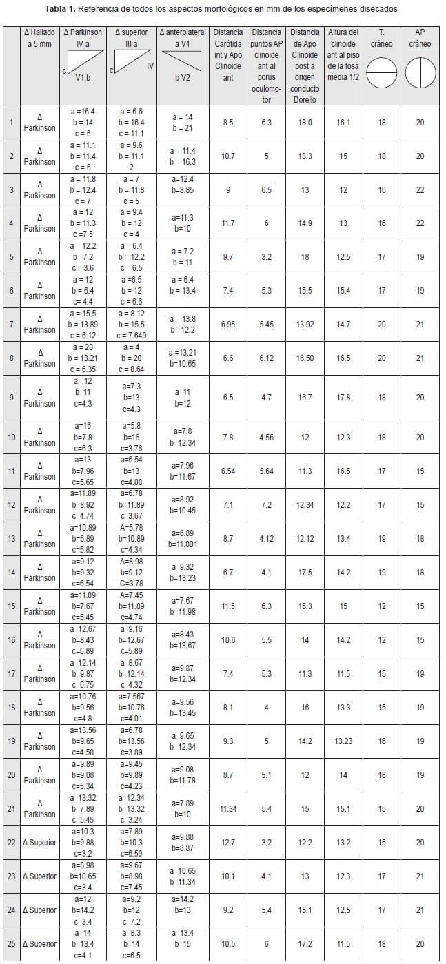 Aspectos morfologicos Aspectos morfologicos