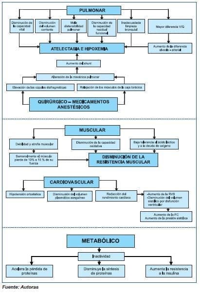 Efectos de la inactividad física Efectos de la inactividad física