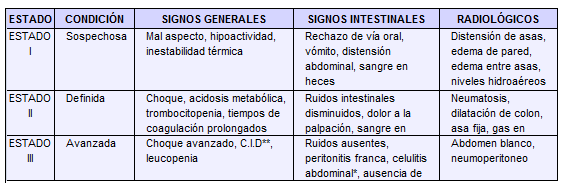 Adaptación para los lactantes Adaptación para los lactantes