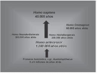 Homo sapiens Homo sapiens