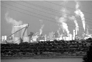 Homosapiensindustria