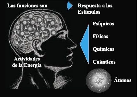 Actividad de la Energía  Actividad de la Energía