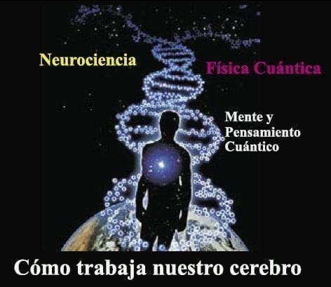 Como trabaja nuestro cerebro Como trabaja nuestro cerebro