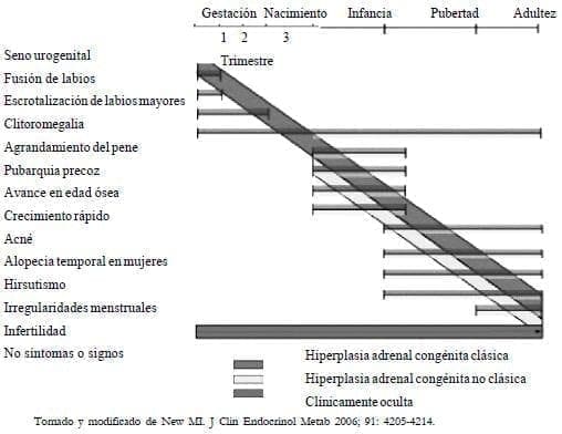 Deficiencia de 21 hidroxilasa Deficiencia de 21 hidroxilasa