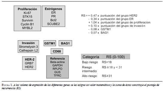 Valores de Expresión de los Diferentes Genes