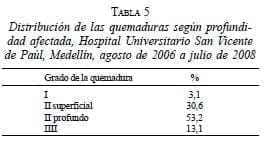 Distribución Quemaduras según Profundidad Afectada Distribución Quemaduras según Profundidad Afectada