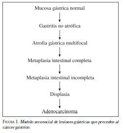 Modelo Secuencial de Lesiones Gástricas