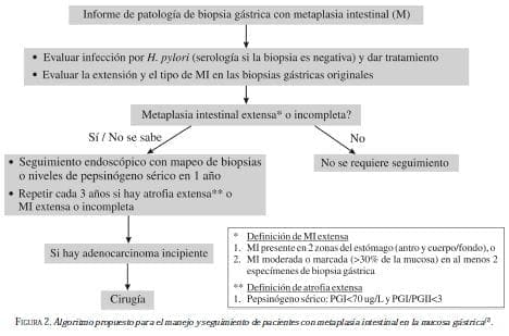 Algoritmo Propuesto para el Manejo Metaplasia Algoritmo Propuesto para el Manejo Metaplasia