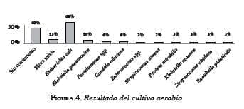 Resultado del cultivo aerobio Resultado del cultivo aerobio