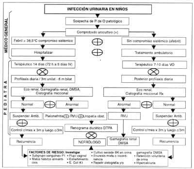 Infección Urinaria en Niños Infección Urinaria en Niños