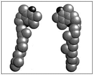 Modelo espacial de la forma RRR-a-tocoferol y su epímero Modelo espacial de la forma RRR-a-tocoferol y su epímero