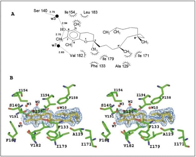 Interacciones entre RRR-a-TF y los residuos del bolsillo Interacciones entre RRR-a-TF y los residuos del bolsillo