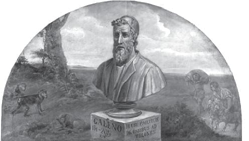 Estatua Galeno Estatua Galeno