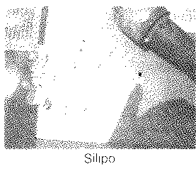 Silipo