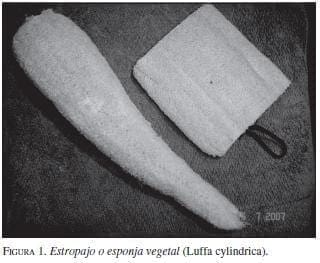 Estropajo o Esponja vegetal